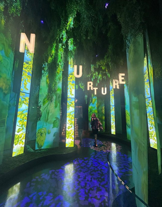 WhatsApp Image 2025-08-14 at 14.41.36 (1)