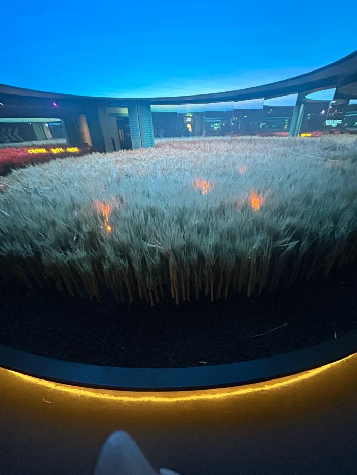 WhatsApp Image 2025-08-14 at 14.41.36 (2)